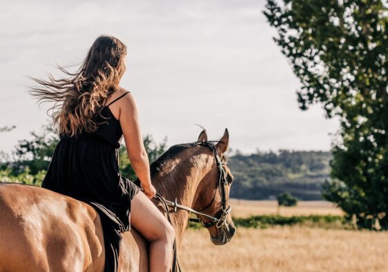 Reiten in der Bodenseeregion