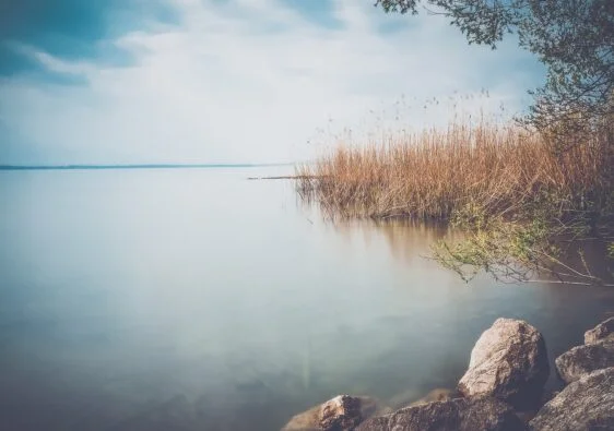 Bodensee Natur und Naturschutz